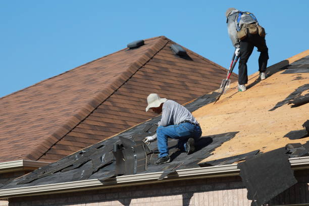 Best Solar Panel Roofing Installation  in Sidney, MT