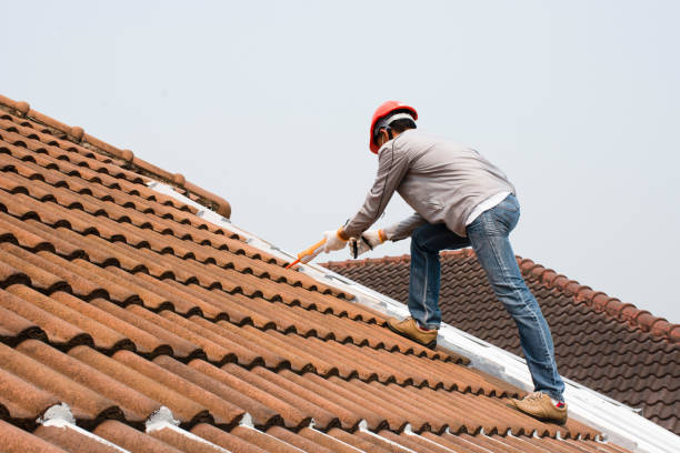 Best Roof Coating and Sealing  in Sidney, MT